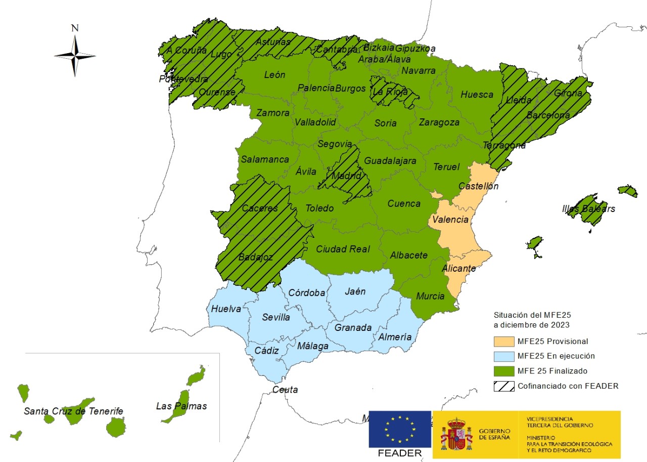 Información disponible y situación actual del MFE25